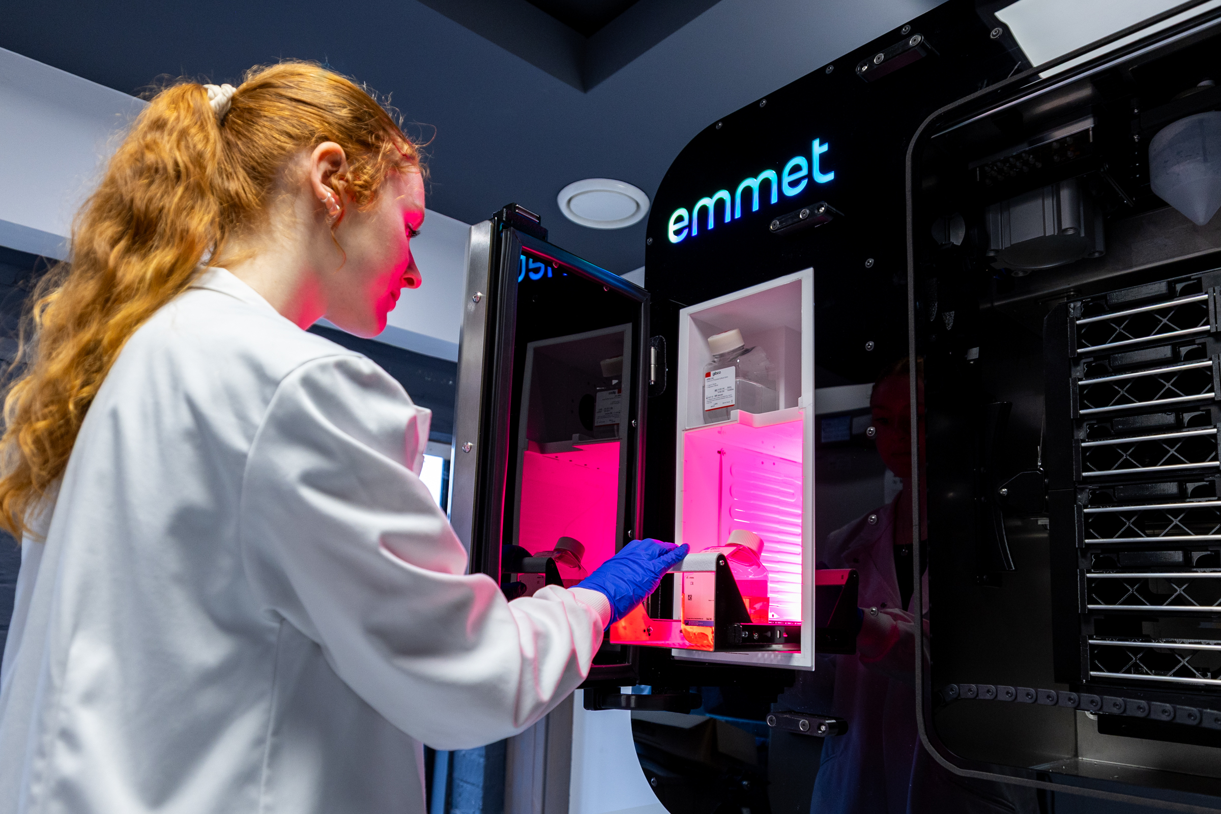 Photography portfolio image