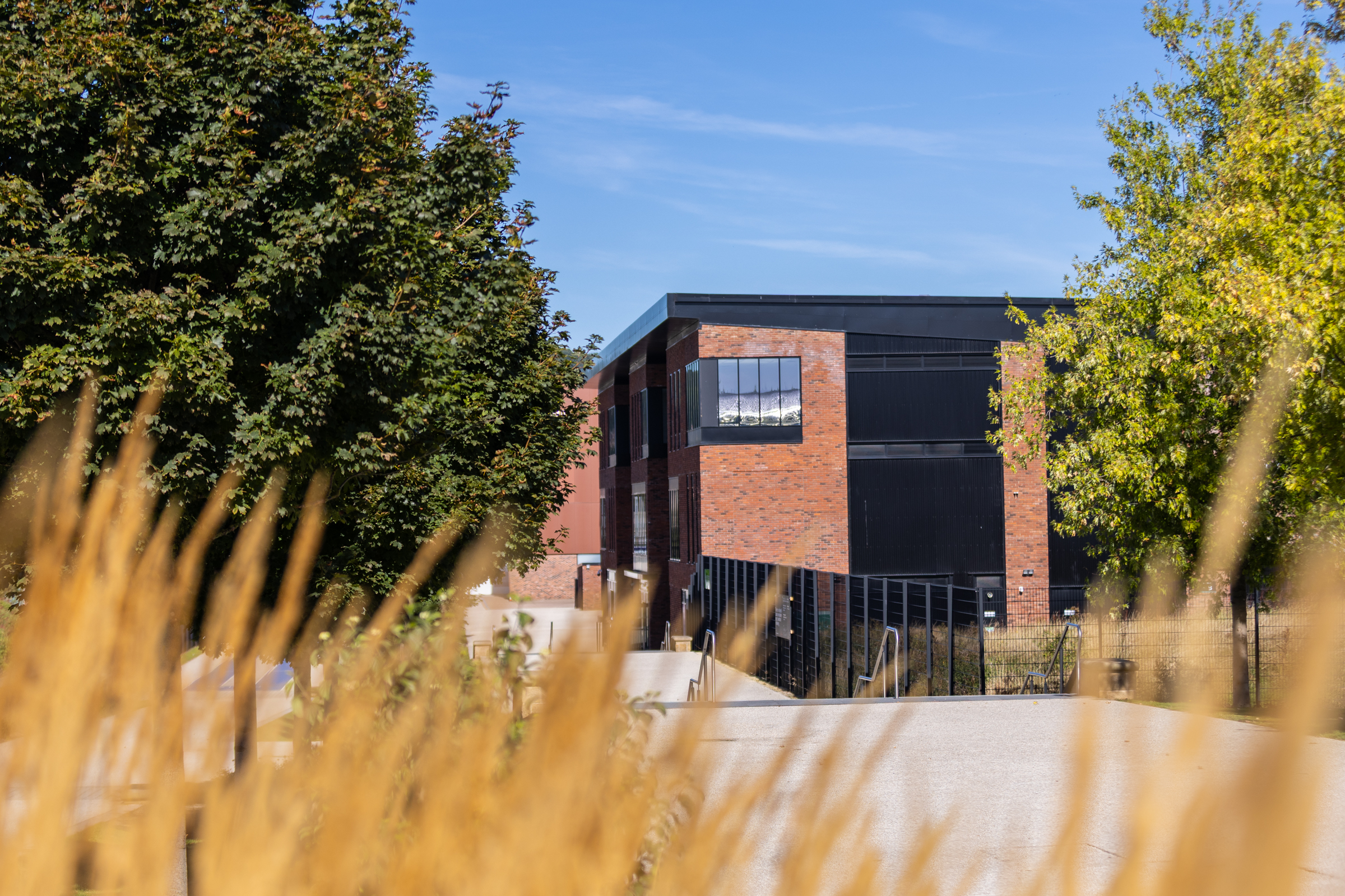 Photography portfolio image